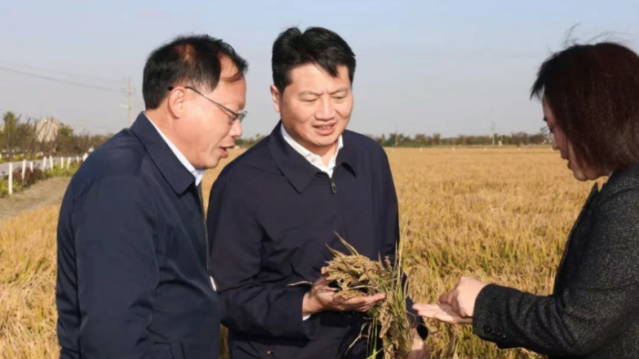 姜冬冬調(diào)研“三秋”工作推進情況